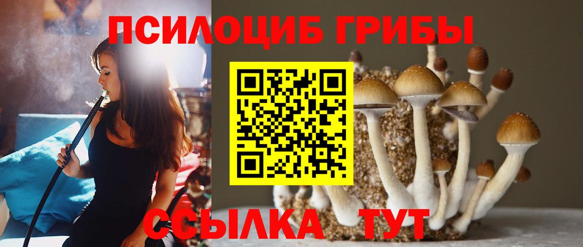Псилоцибиновые грибы GOLDEN TEACHER  Вход с VPN  Слободской 