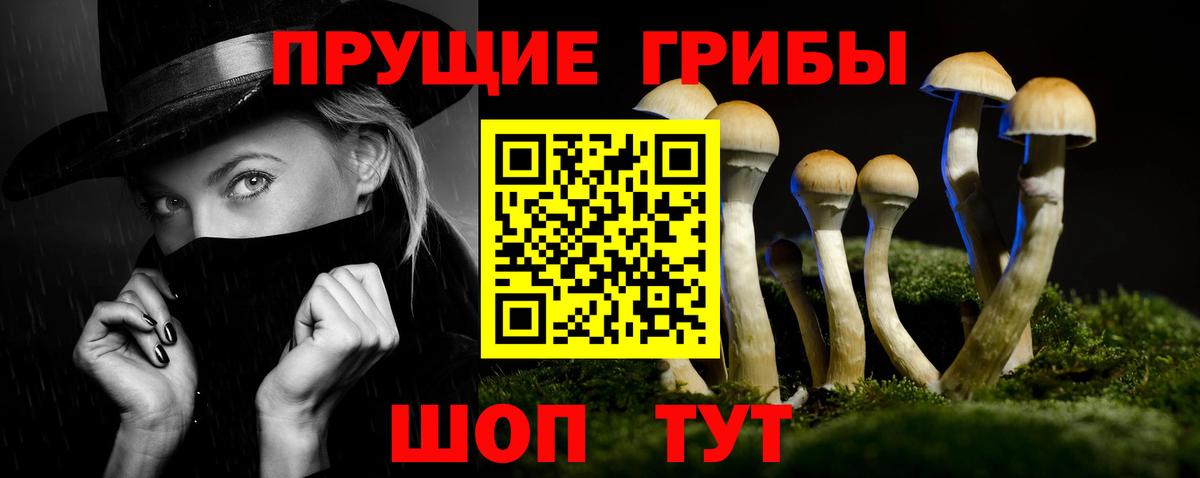 Галлюциногенные грибы Magic Shrooms Слободской